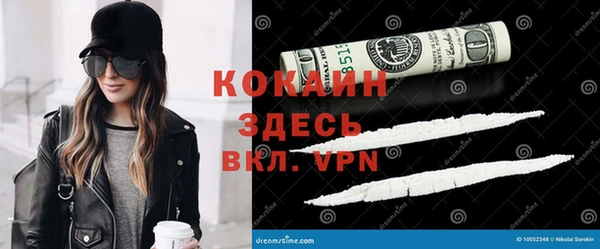 гашик Арсеньев