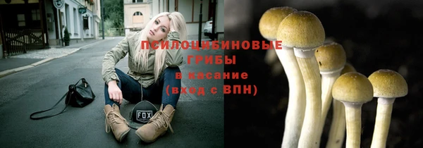 гашик Арсеньев