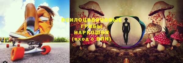 гашик Арсеньев