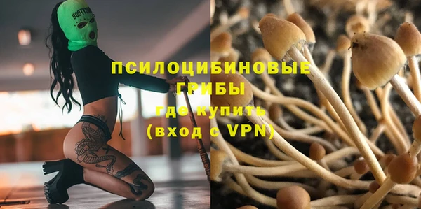 гашик Арсеньев