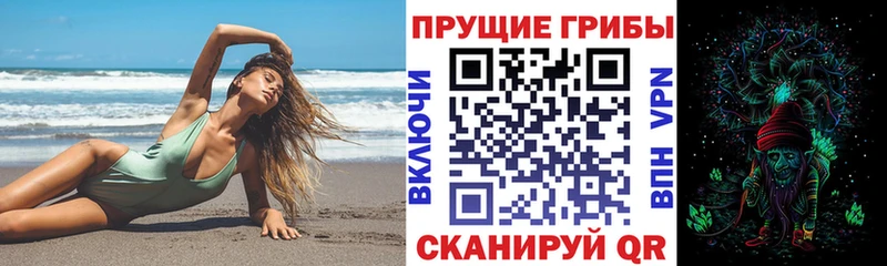 Купить где  Батайск  Галлюциногенные грибы GOLDEN TEACHER 